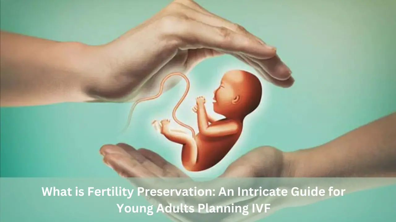 What is Fertility Preservation An Intricate Guide for Young Adults Planning IVF