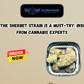 Why the Sherbet Strain is a Must-Try Insights from Cannabis Experts