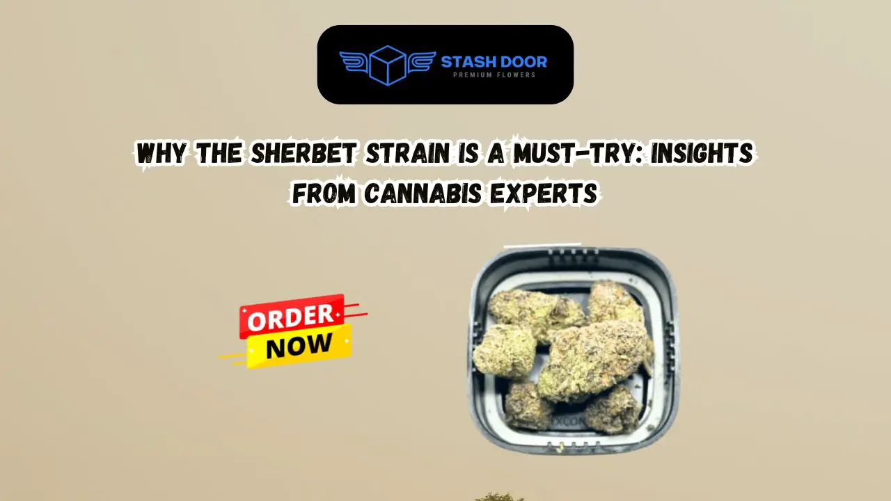 Why the Sherbet Strain is a Must-Try Insights from Cannabis Experts