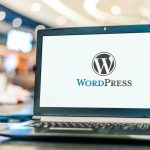 WordPress-Agency-Sydney-1024x603 (1)