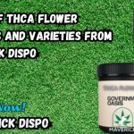 World of THCA Flower Benefits and Varieties from Maverick Dispo