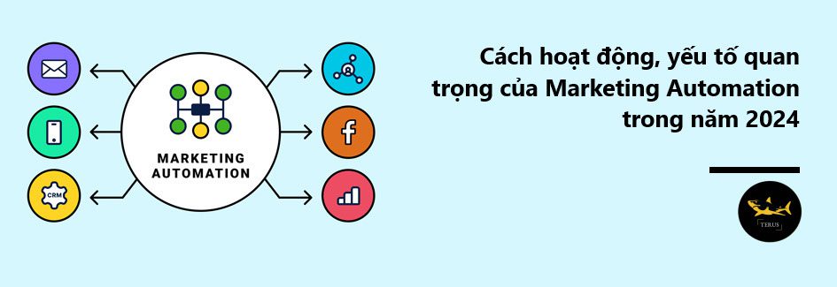 cach-hoat-dong-yeu-to-quan-trong-cua-marketing-automation-trong-nam-2024