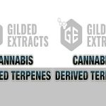 cannabis terpenes300200