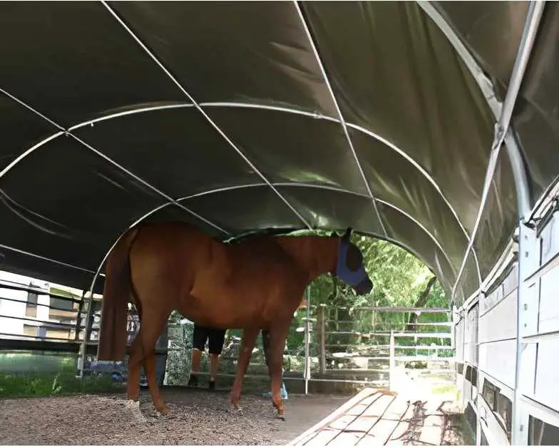 enclosed-livestock-shelters-horse-animal-door-67