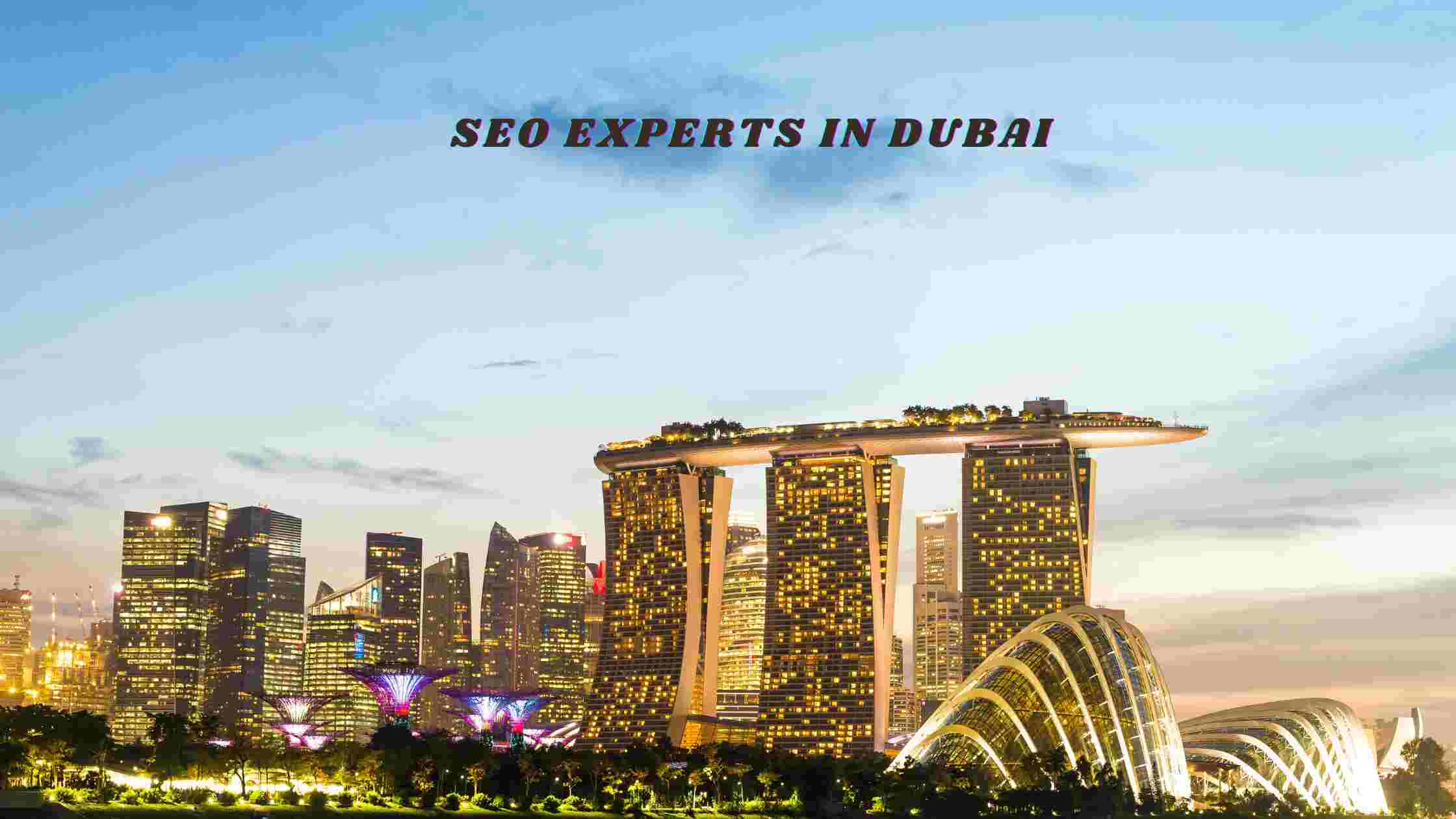 seo experts in Dubai (1)