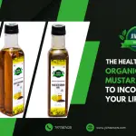 the-health-benefits-of-organic-cold-pressed-mustard-oil