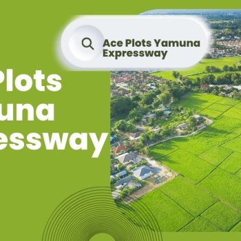 Ace Plots Yamuna Expressway (1)