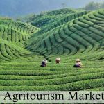 Agritourism Market (1)