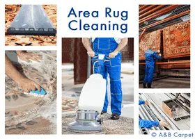 Area Rug Cleaning