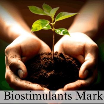 Biostimulants Market 1