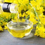 Canola Oil Market