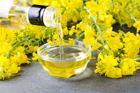 Canola Oil Market