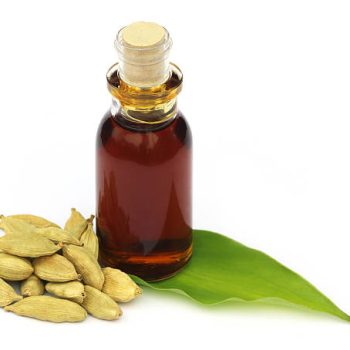 Cardamom Oil Market