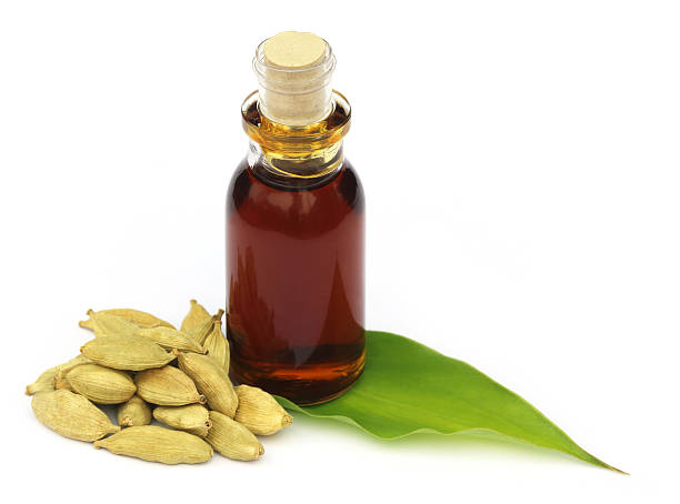 Cardamom Oil Market