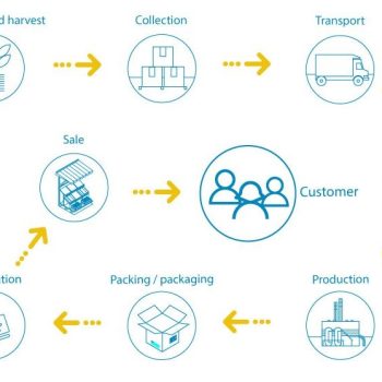 Cold Chain Market