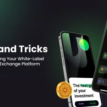 Customizing Your White-Label Crypto Exchange Platform_ Tips and Tricks