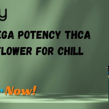Elevate Your Relaxation with Enjoy Hemp's Mega Potency THCA Flower for Chill