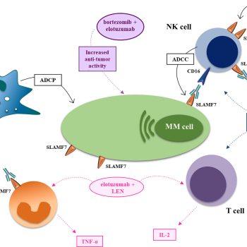 Elotuzumab