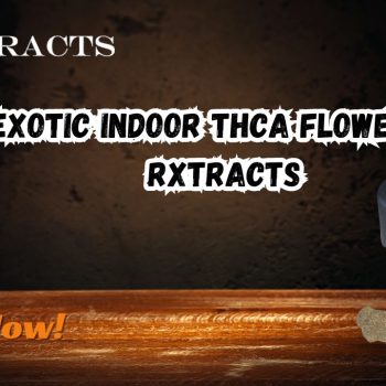 Exotic Indoor THCA Flower by Rxtracts