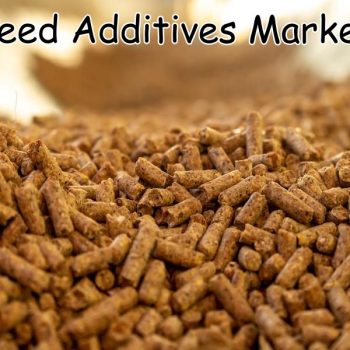 Feed Additives Market (1)