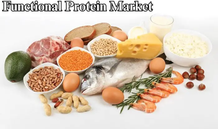Functional Protein Market