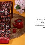 Ikkat Saree New Arrival Collection by Samyakk