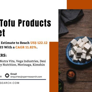 India Tofu Products Market