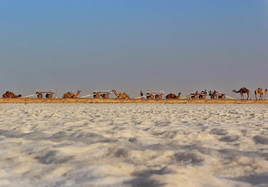 Kutch-Desert