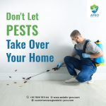 Pest control service in Ernakulam