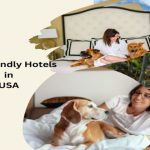 Pet-Friendly Hotel