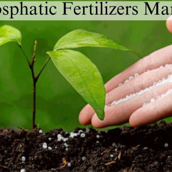 Phosphatic Fertilizers Market (1)