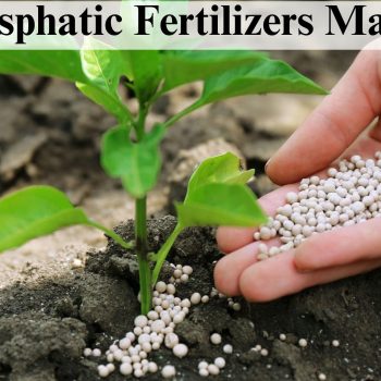 Phosphatic Fertilizers Market (1)