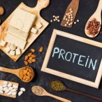 Protein A Resin Market Report