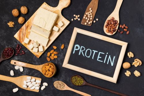 Protein A Resin Market Report