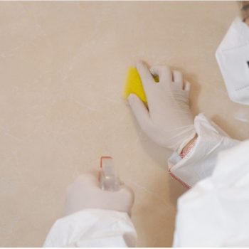 Say Goodbye to Mold Expert Tips for a Healthier Home