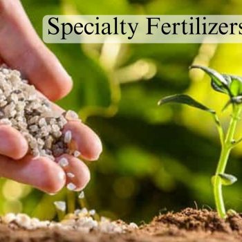 Specialty Fertilizers Market (1)