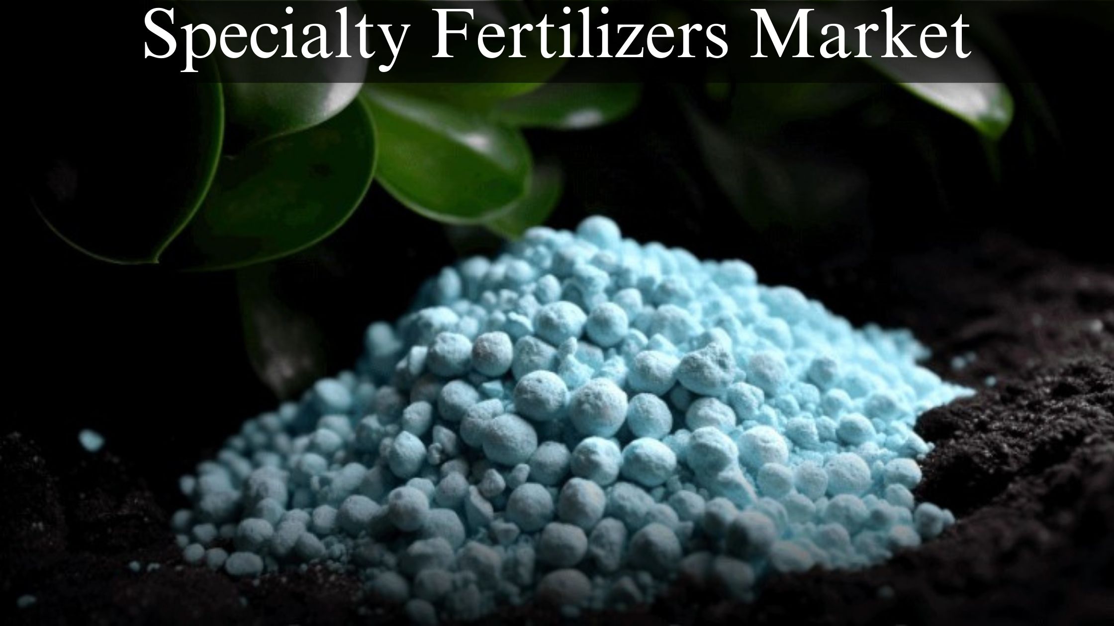 Specialty Fertilizers Market