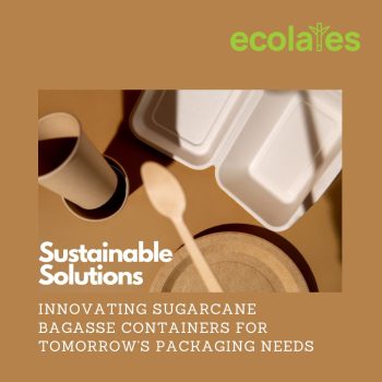 Sustainable Solutions Innovating Sugarcane Bagasse Containers for Tomorrow's Packaging Needs