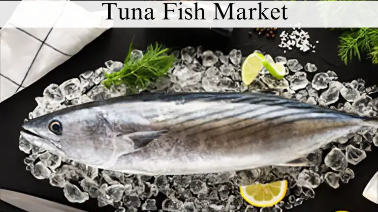 Tuna Fish Market