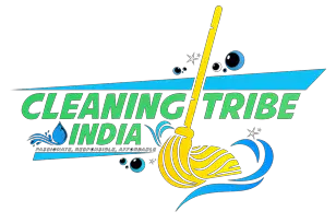 cleaning-india-e1687264102652