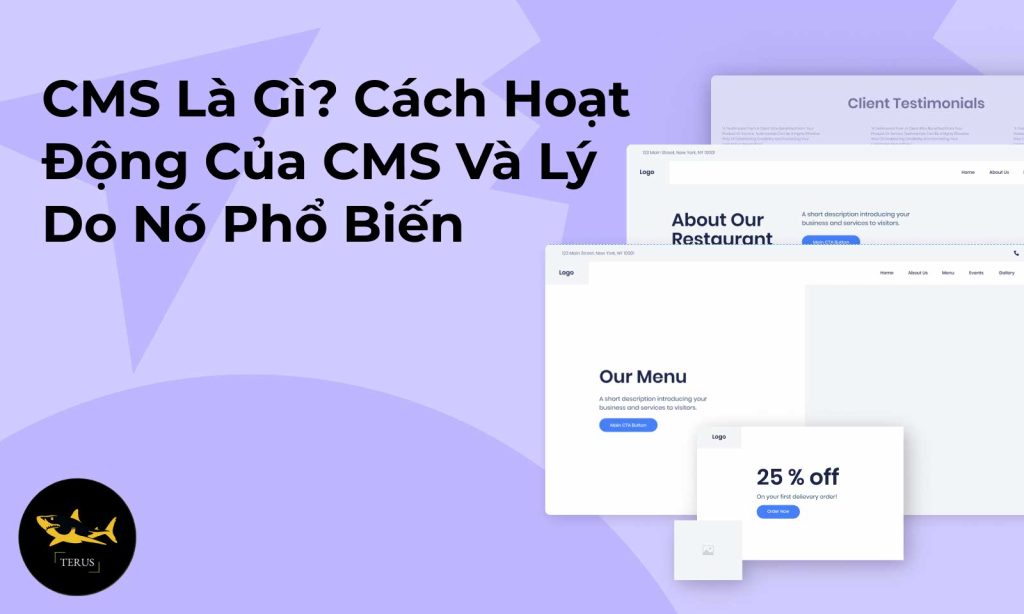 Cms Là Gì Cách Hoạt Động Của Cms Và Lý Do Nó Phổ Biến 9530