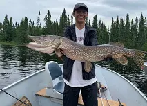 lakers trout 