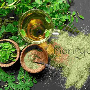 moringa (1)