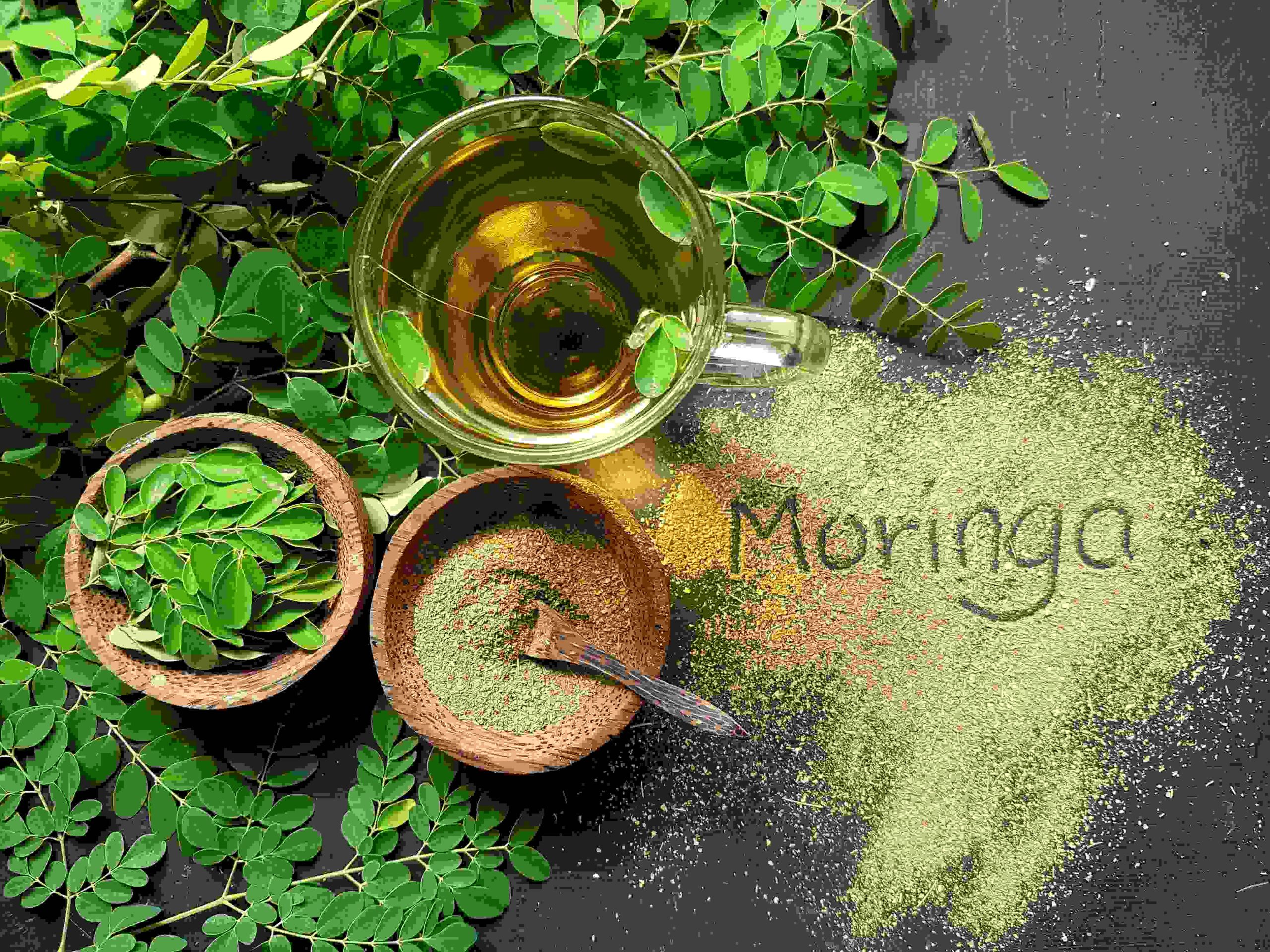 moringa (1)