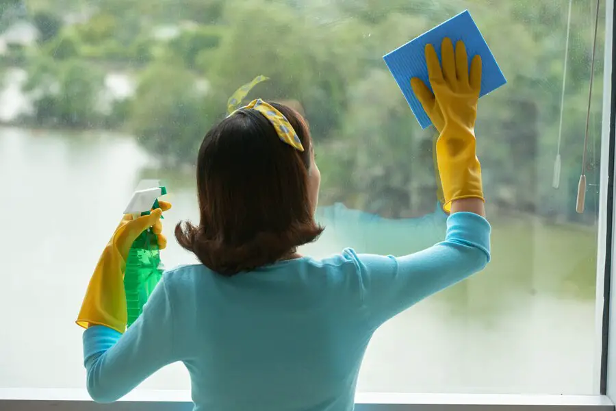 rear-view-pin-up-housekeeper-cleaning-panoramic-window-with-spray-cleaner-sponge_1098-19268