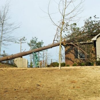 Wind damage