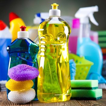 Household Insecticides Market