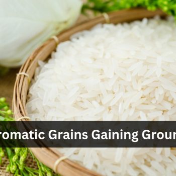 Aromatic Grains Gaining Ground