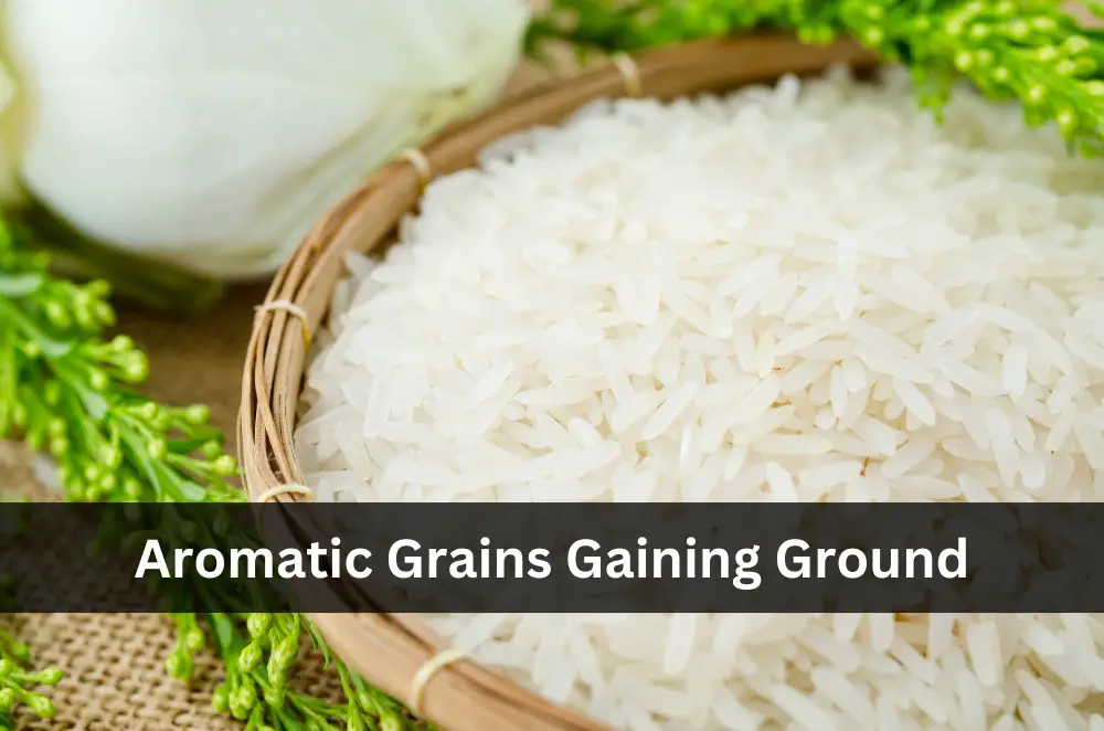 Aromatic Grains Gaining Ground