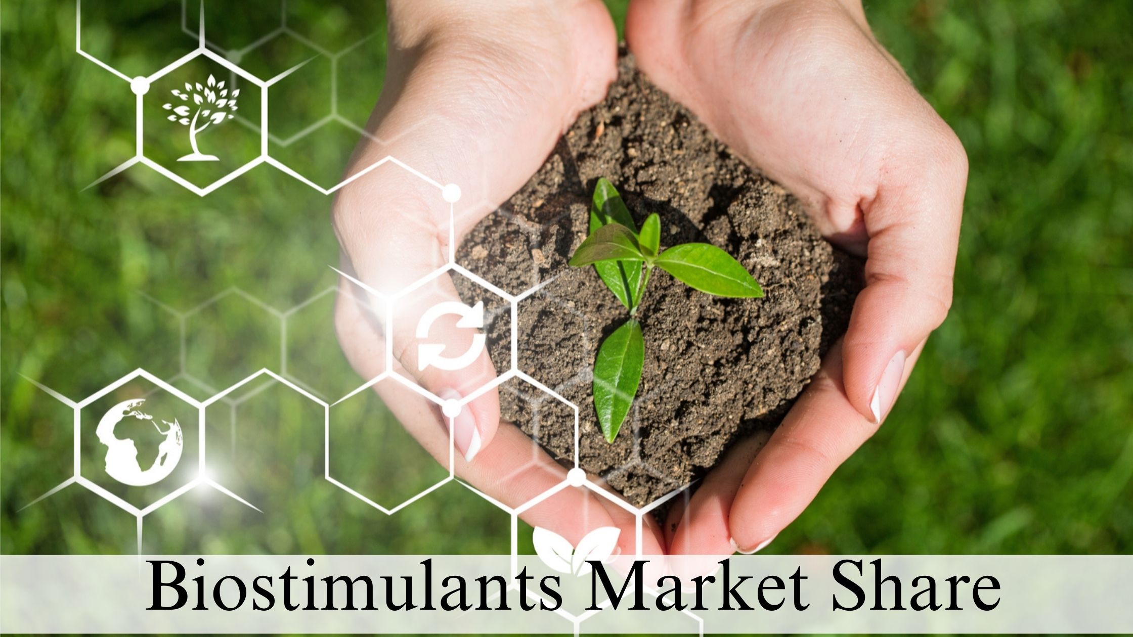 Biostimulants Market Share